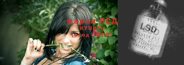 гашик Кулебаки