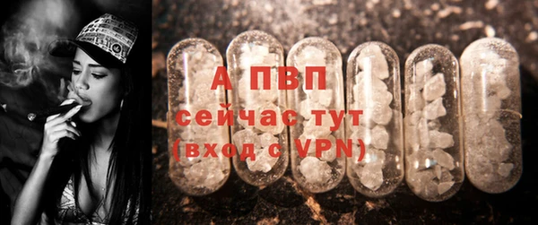 гашик Кулебаки