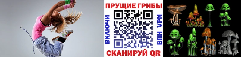 Купить  Асино  Псилоцибиновые грибы Psilocybe 